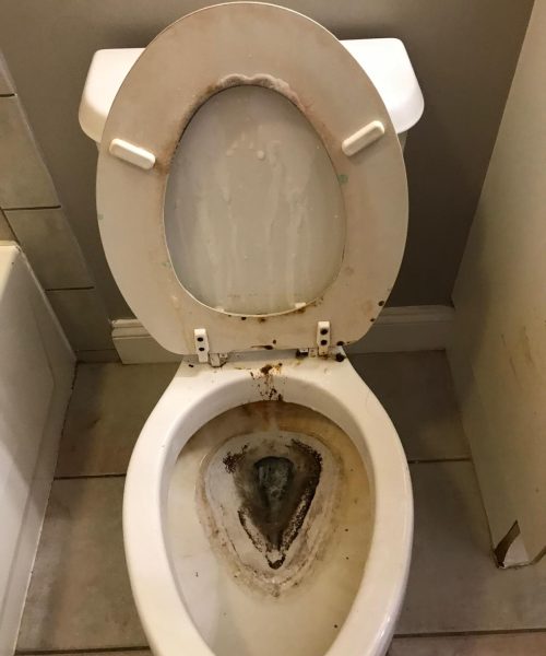 Before -and-after-cleaning14