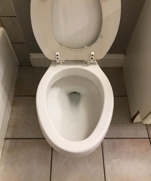 Before -and-after-cleaning19